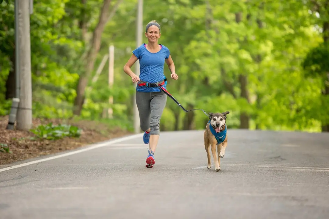 Kurgo Springback Hondenriem Hardlopen - Zwart S - afbeelding 4 van 6
