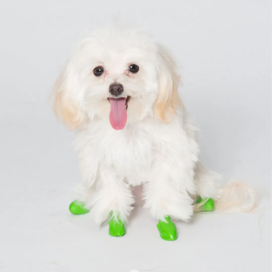 Pawz Rubber Dog Boots Hondenschoenen - Groen - 3XS - afbeelding 5 van 6