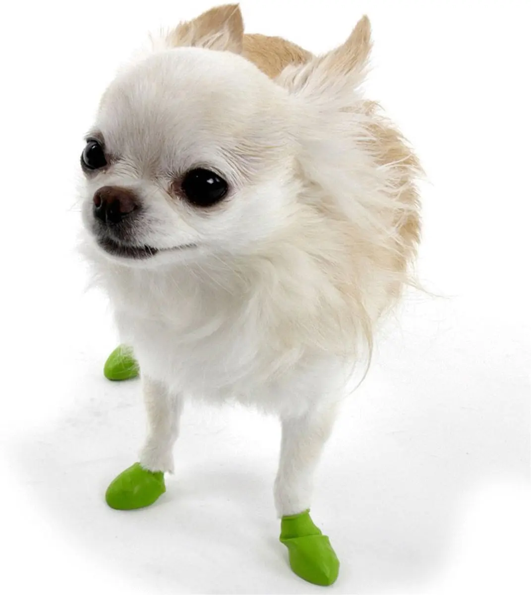 Pawz Rubber Dog Boots Hondenschoenen - Groen - 3XS - afbeelding 4 van 6