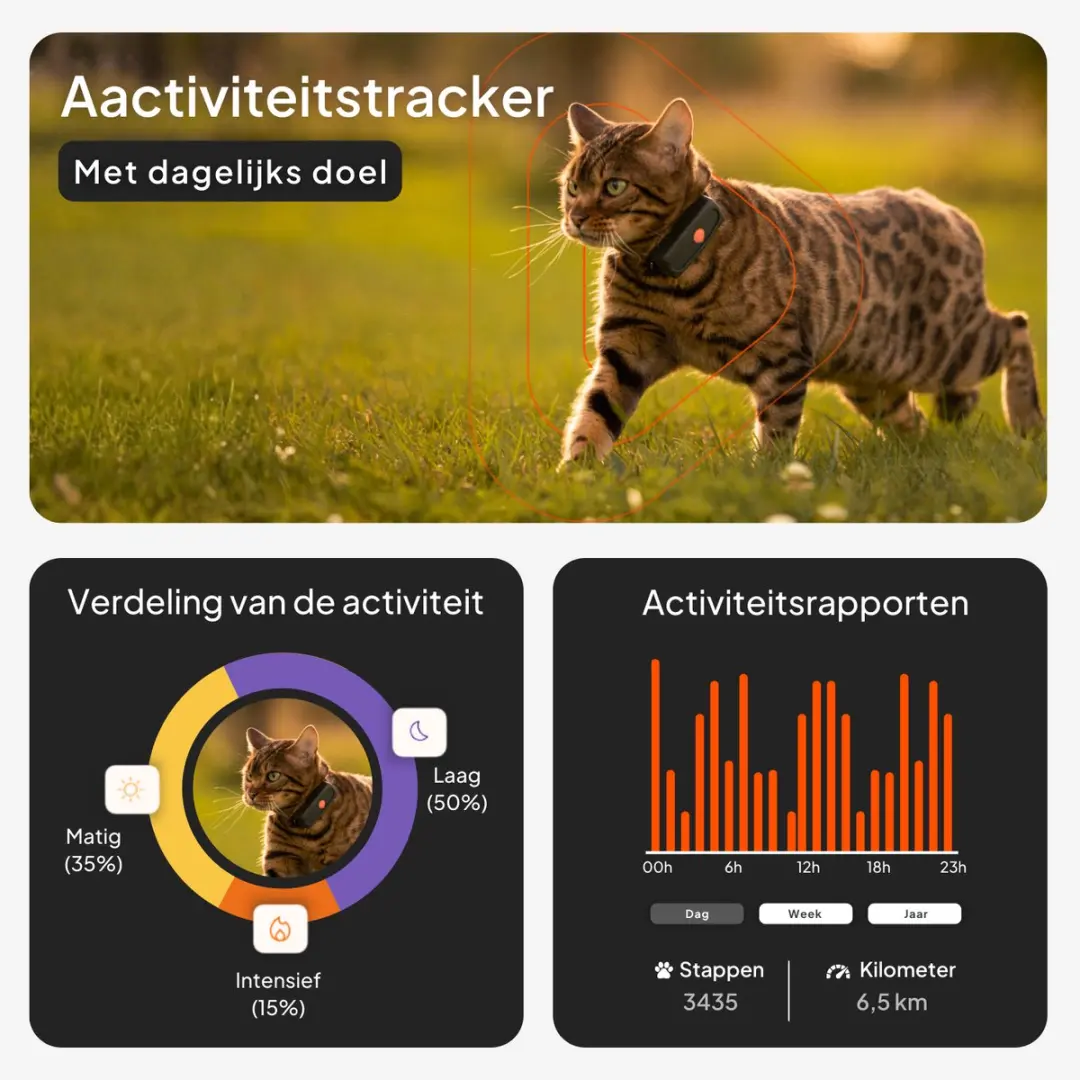 Weenect Cat XS WTE06CBDE01B GPS-Tracker - Zwart - afbeelding 5 van 6