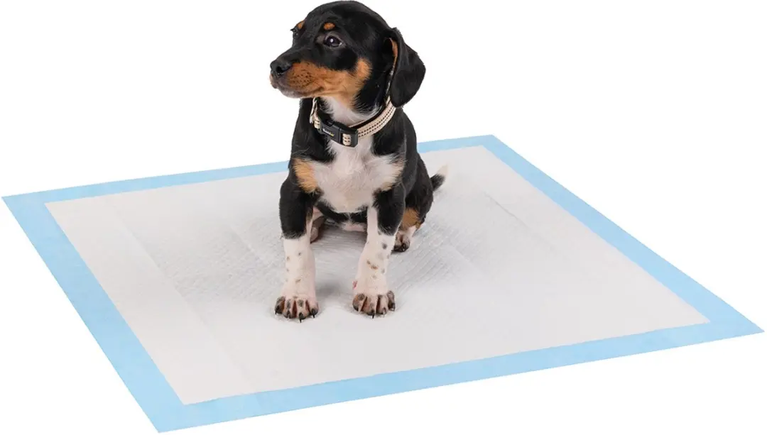 lionto puppy trainingspads, 6-laags & absorberend, 100 stuks, 60x60 cm