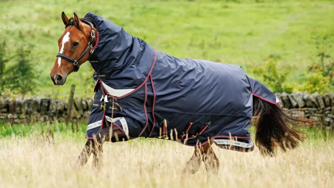 Lemieux Kudos Thermo Pro Turnout Paardendeken - Donkerblauw - afbeelding 5 van 6