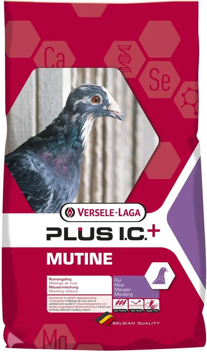 Versele-Laga I.C.+ Mutine Plus Ic-Rui