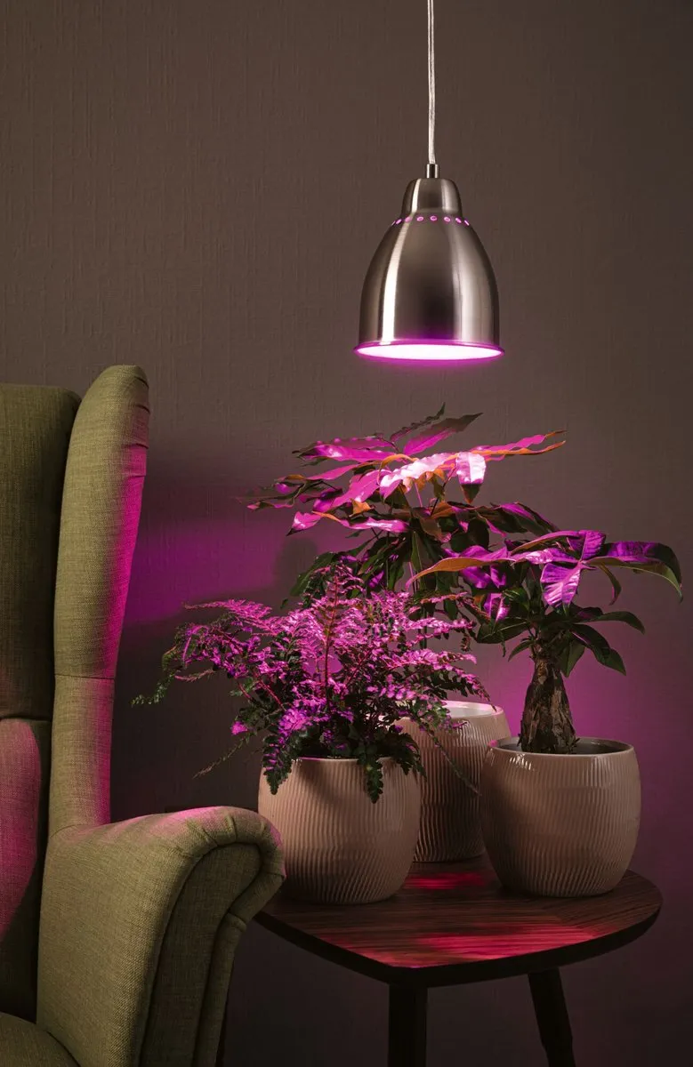Paulmann Neordic Hanglamp Hilla LED 6,5W 1300K - Staal geborsteld