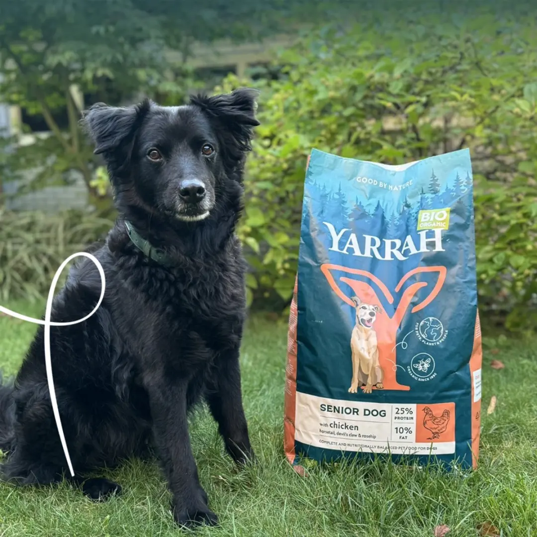 Yarrah Bio Hondenvoer Senior Kip 2kg - afbeelding 6 van 6