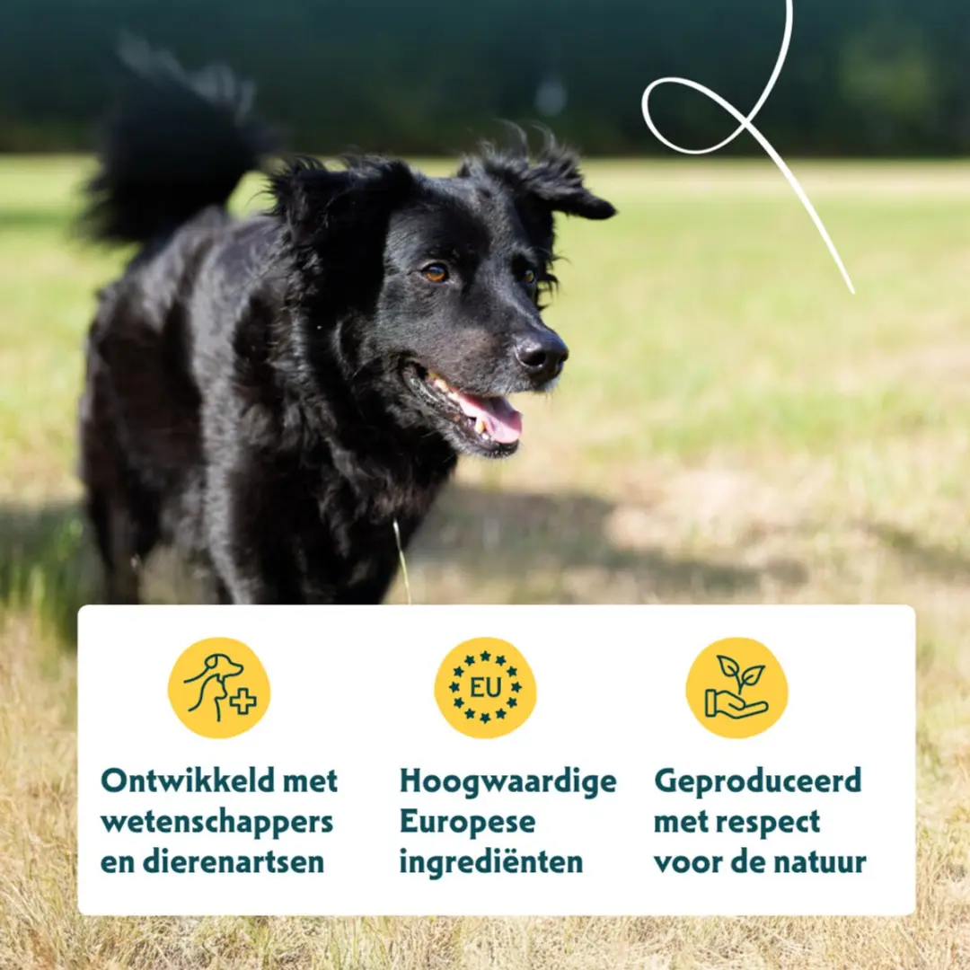 Yarrah Bio Hondenvoer Senior Kip 2kg - 4x - afbeelding 2 van 6