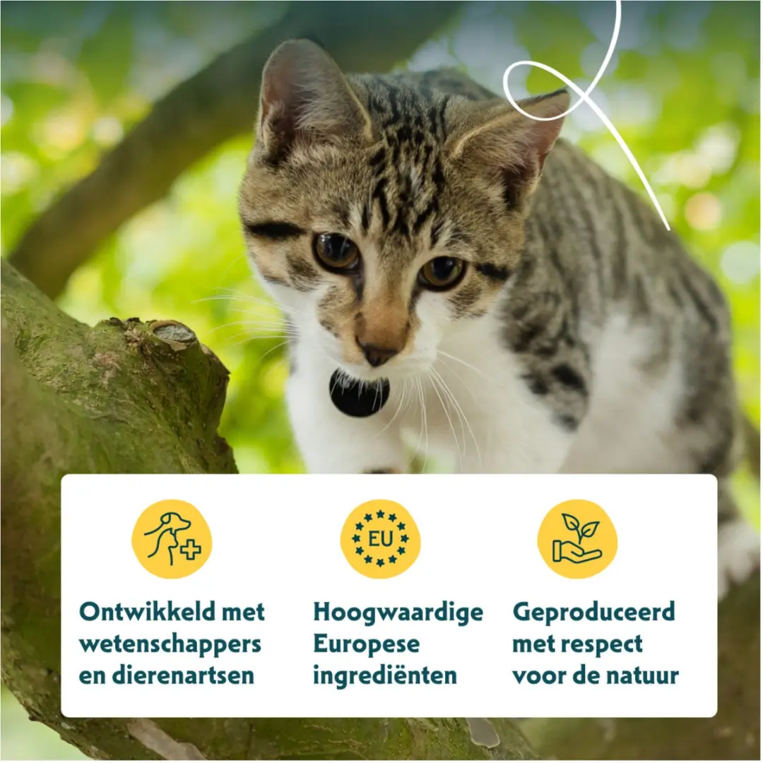 Yarrah Biologisch Adult Kip Kattenvoer - 2,4 kg - afbeelding 3 van 6
