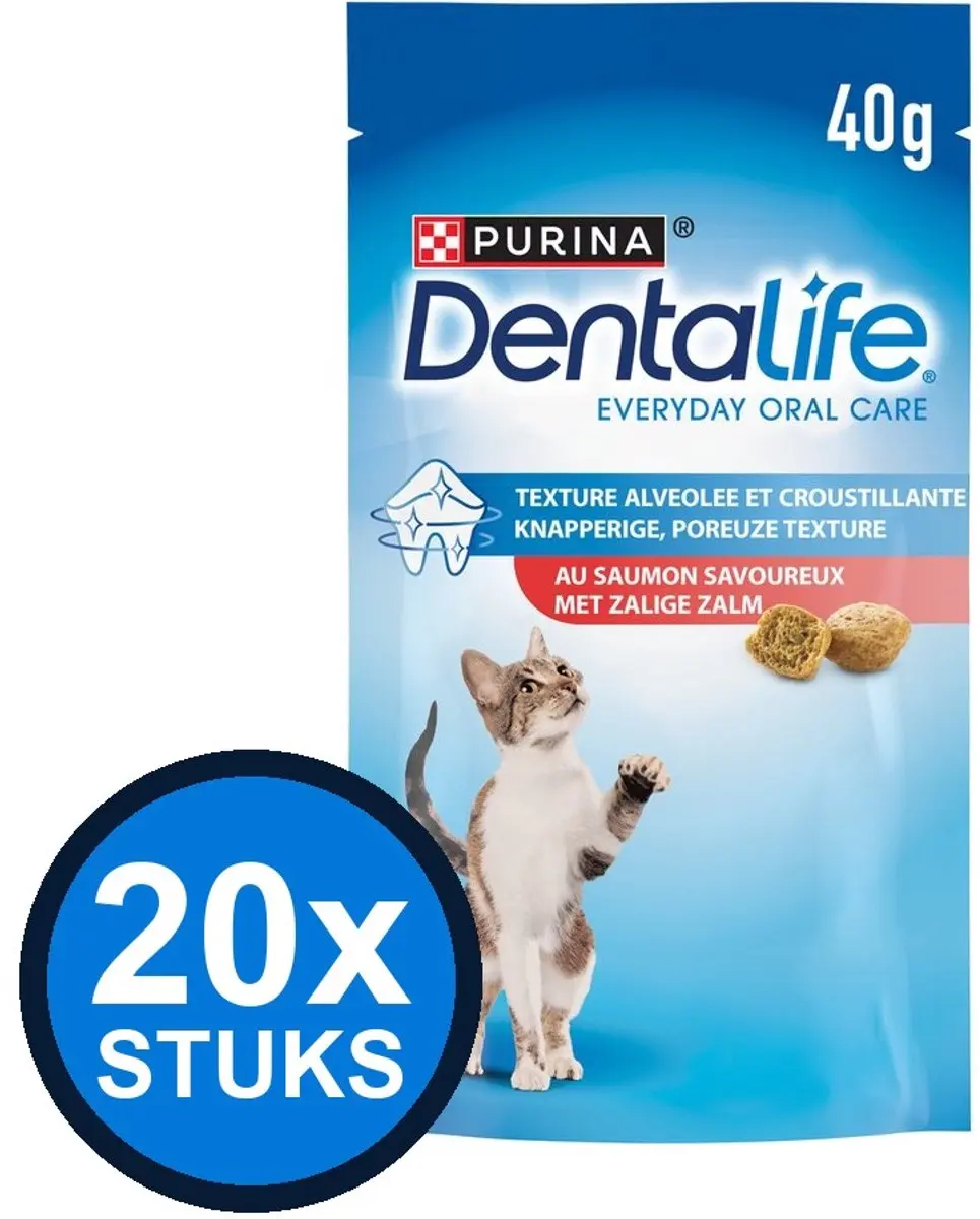 20x Dentalife