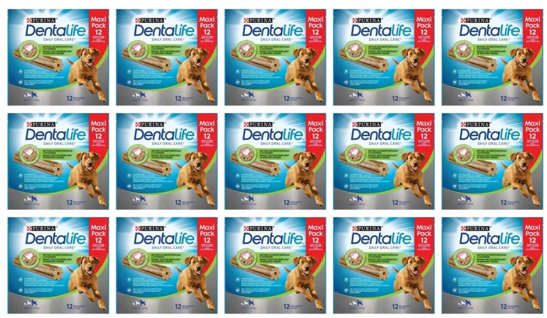 15x Dentalife