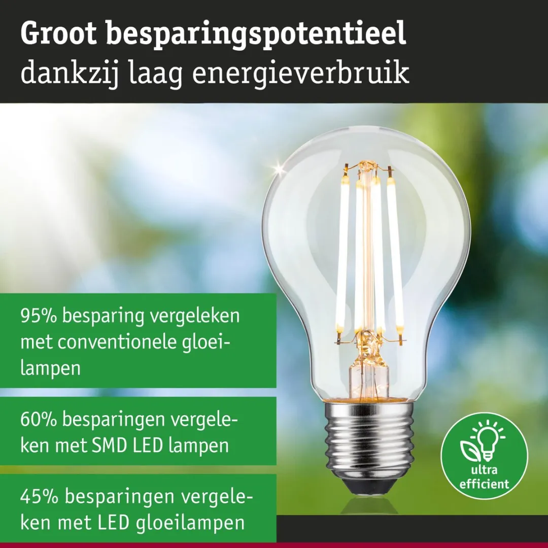 Paulmann Eco-Line Filament LED-gloeilamp E27 8,2W 1521lm - Warm wit 3000K - afbeelding 6 van 6