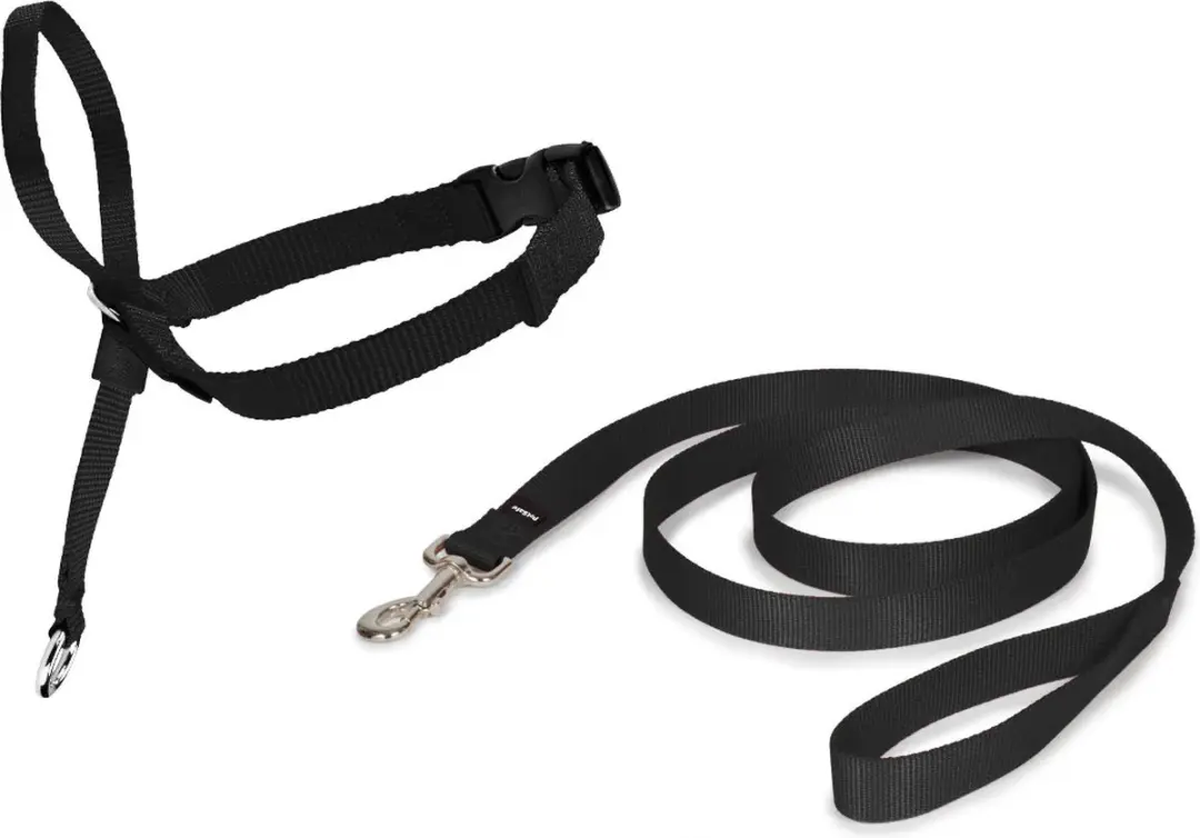 PetSafe Easy Walk Hoofdhalster - S - Zwart - afbeelding 6 van 6