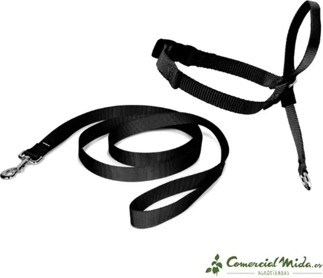 PetSafe Easy Walk Hoofdhalster - S - Zwart - afbeelding 4 van 6