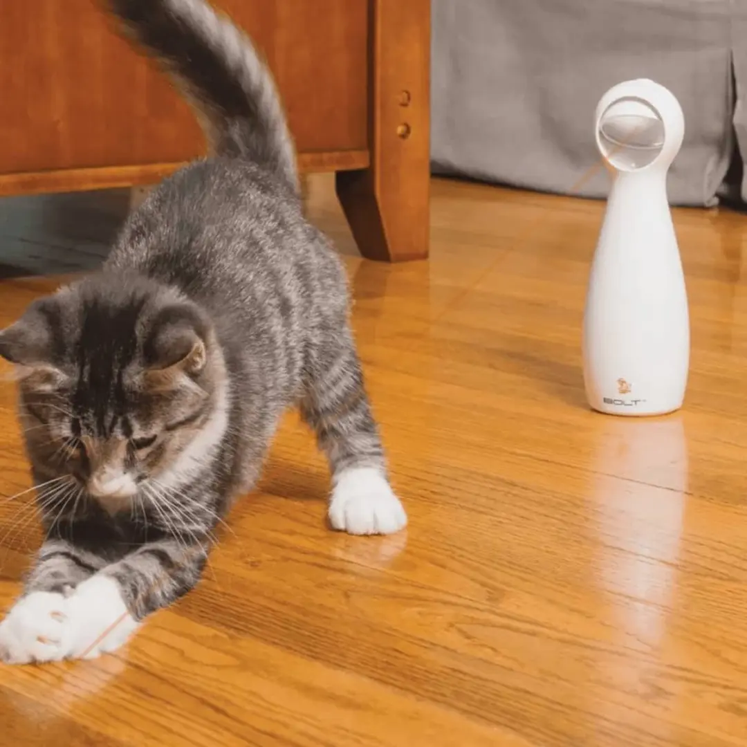 PetSafe FroliCat Bolt Laser Kattenspeelgoed - Wit - afbeelding 6 van 6