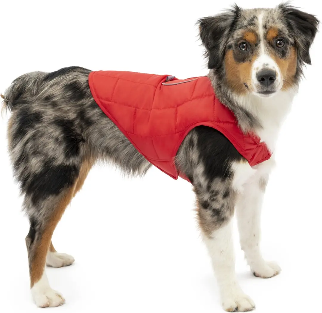 Kurgo Loft Hondenjas - Rood/Antraciet - L - afbeelding 2 van 6