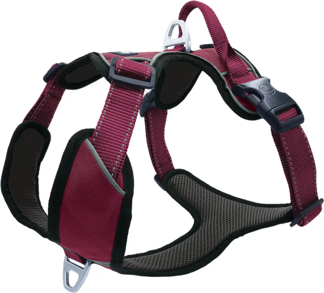 Petlando Hondenharnas Outdoor Aubergine&Zwart