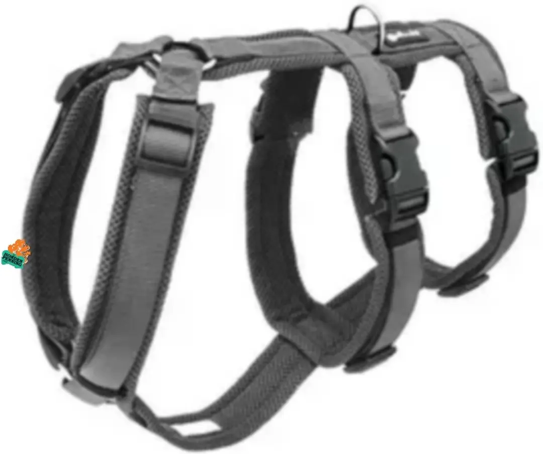 Petlando Safety Harness L Antraciet