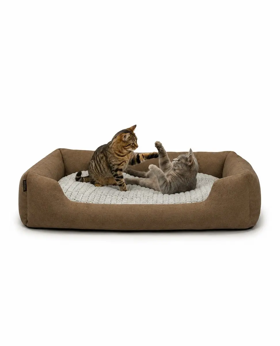 lionto Kattenbed, omkeerbaar kussen & lage instap, 110x80 cm bruin