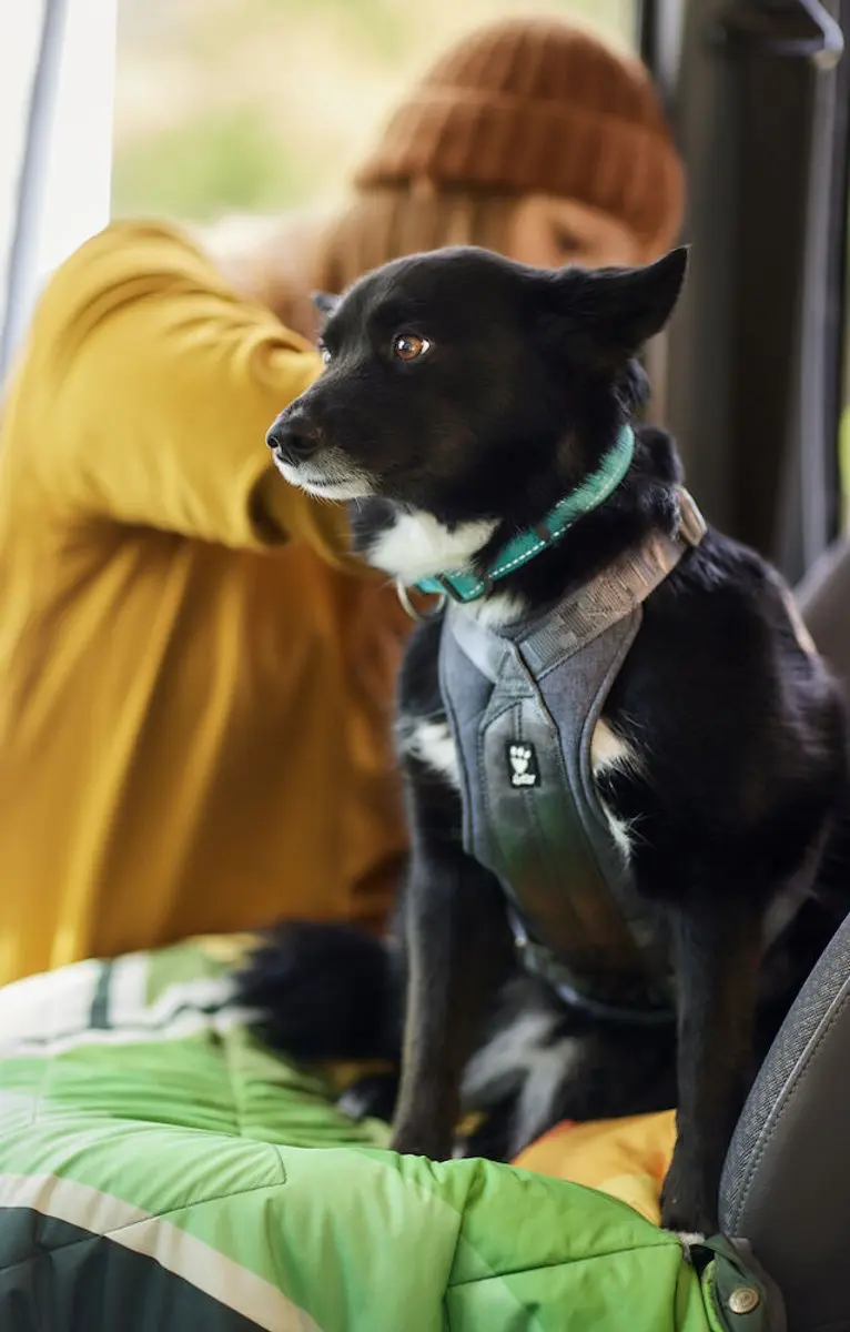 Hurtta Travel Harness ECO - Grijs - afbeelding 2 van 5