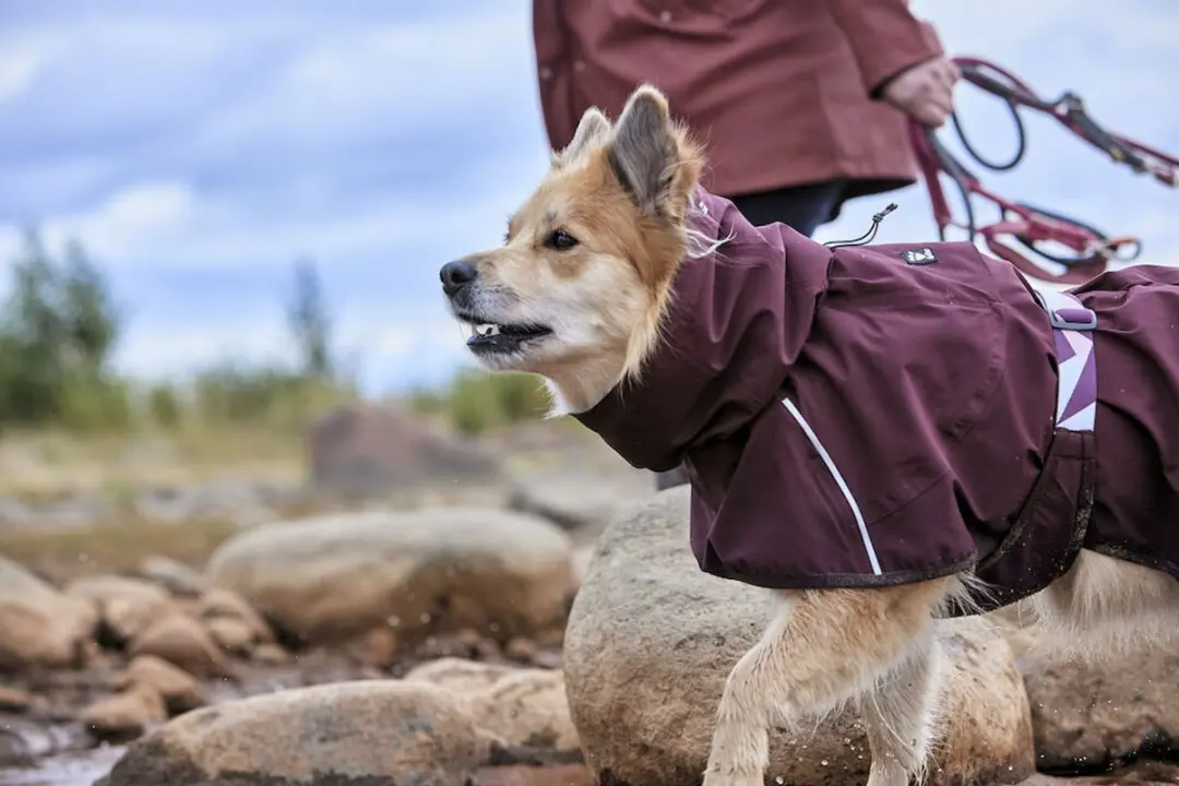 Hurtta Mudventure Coat Hondenregenjas - 25cm - afbeelding 5 van 6