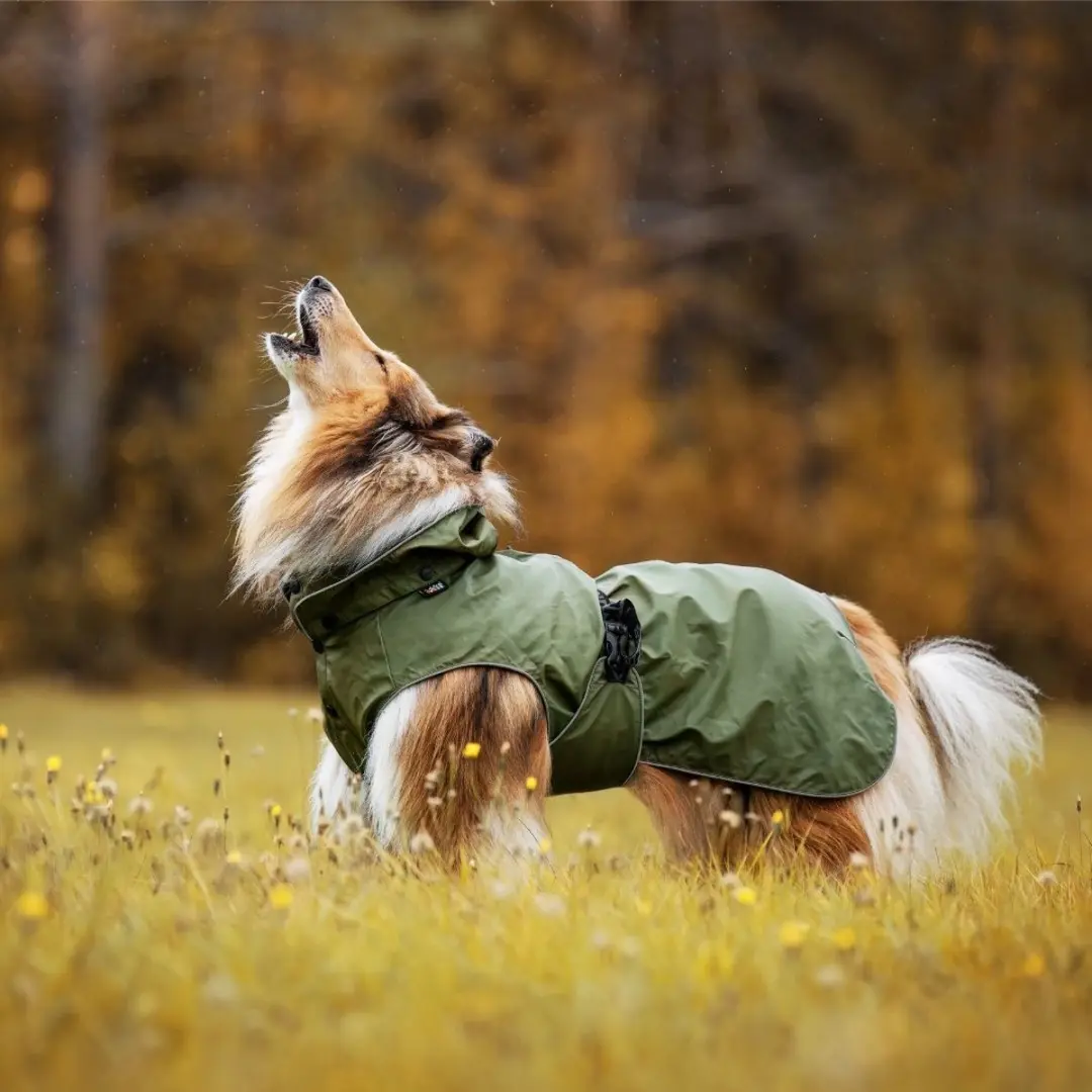 Rukka Pets Streamy ECO Hondenregenjas - Olijfgroen - afbeelding 4 van 6