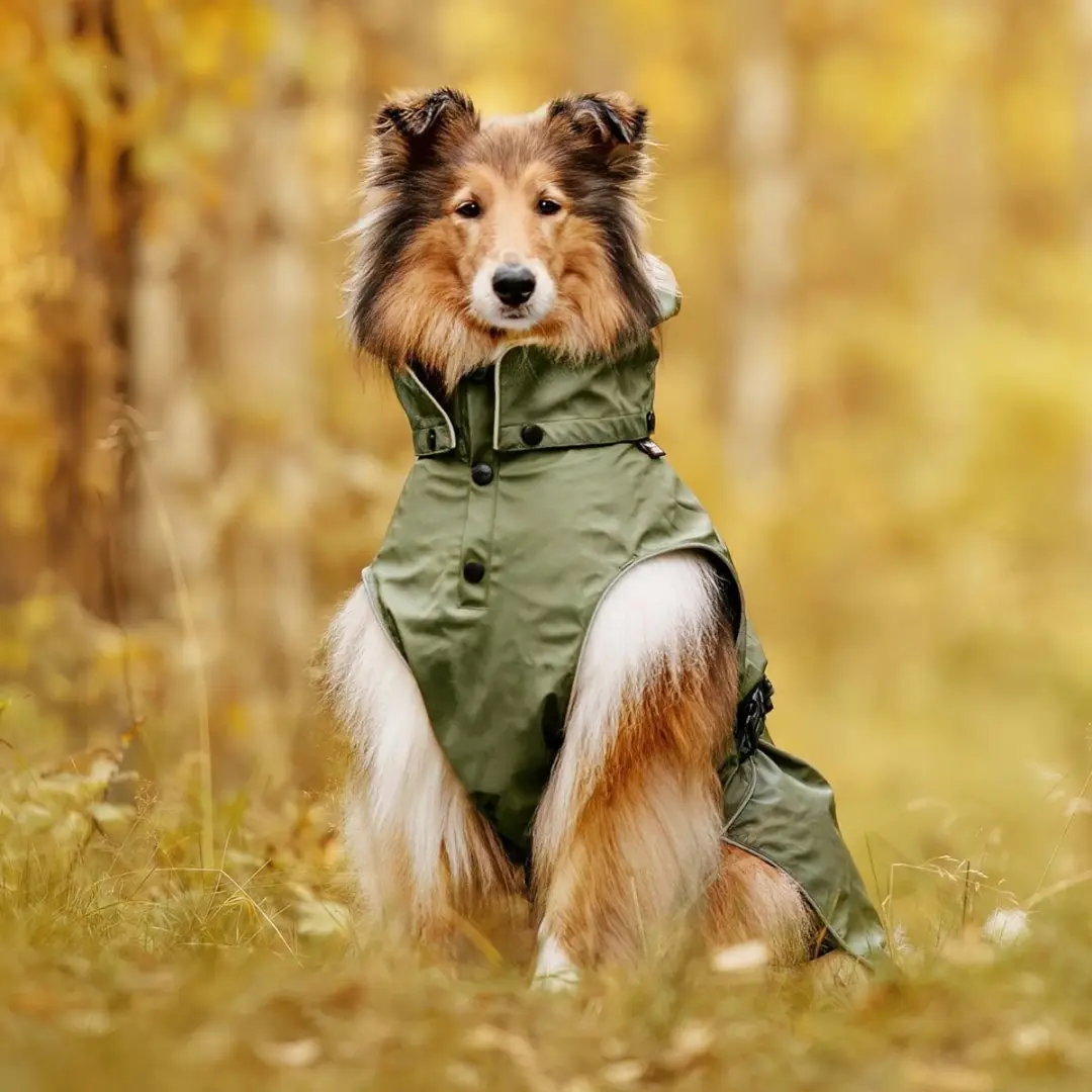 Rukka Pets Streamy ECO Hondenregenjas