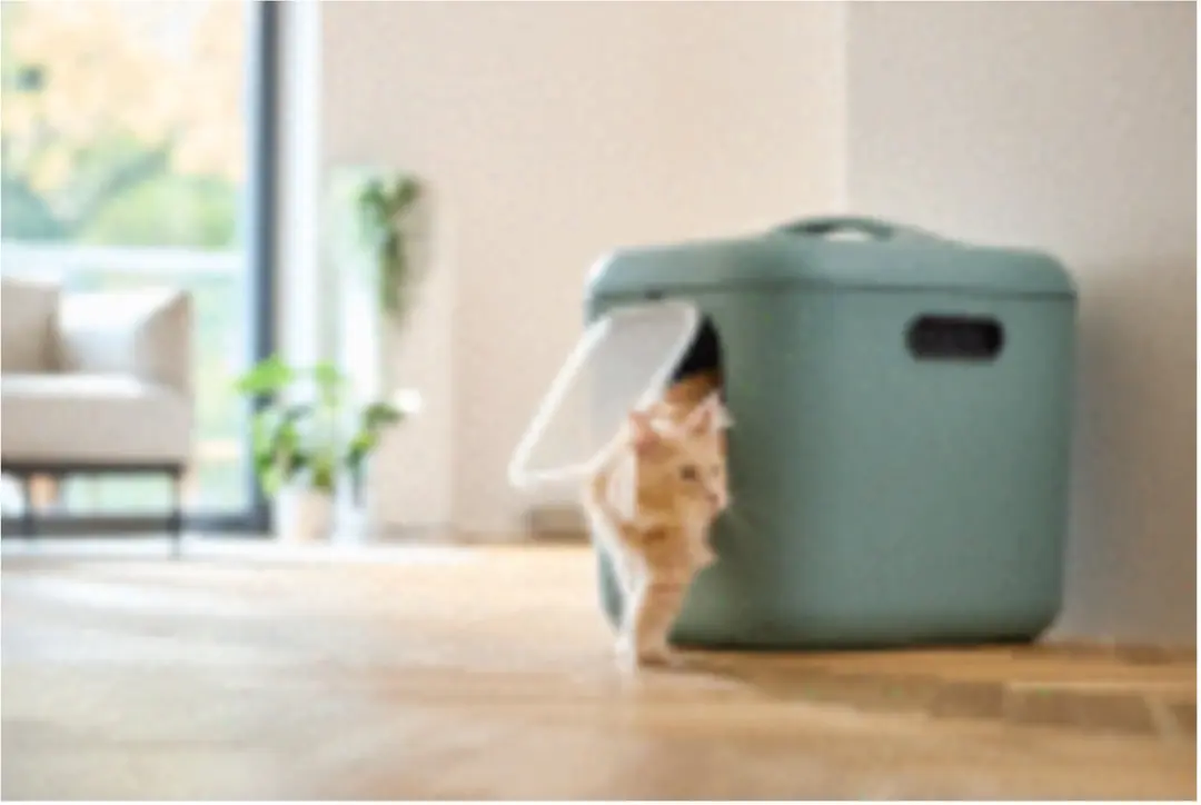 Rotho MyPet Biala XL Kattenbak - 62x50x58cm - Groen - afbeelding 2 van 5