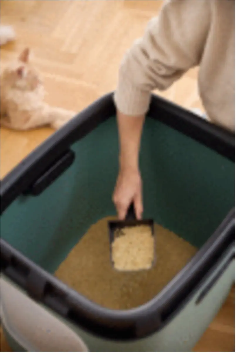 Rotho MyPet Biala XL Kattenbak - 62x50x58cm - Groen - afbeelding 3 van 5