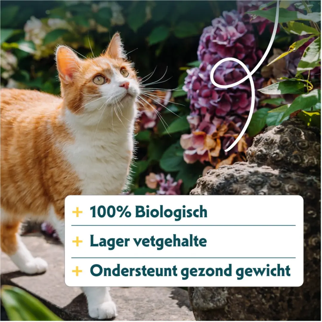 Yarrah Bio Kattenvoer Sterilised 2kg - afbeelding 5 van 6