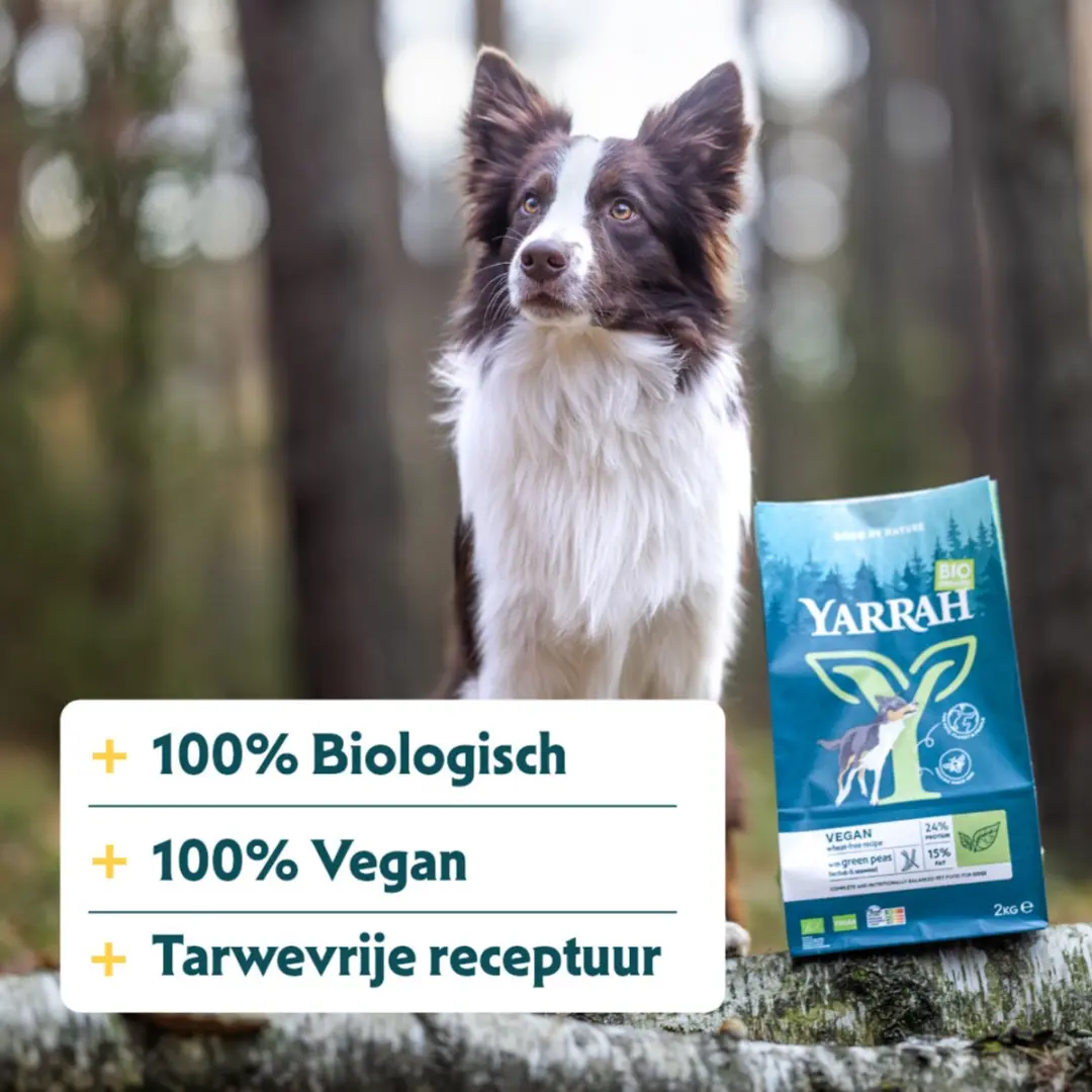Yarrah Biologisch Hondenvoer Vegan Tarwe Vrij 2kg - 4x - afbeelding 2 van 6