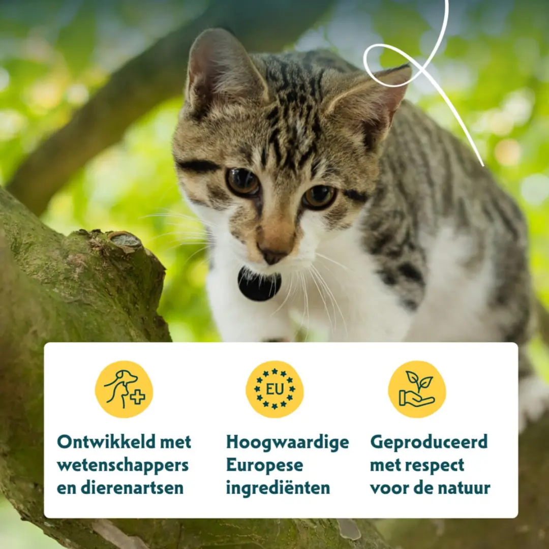 Yarrah Bio Kattenvoer Rund 85g - 14x - afbeelding 3 van 5