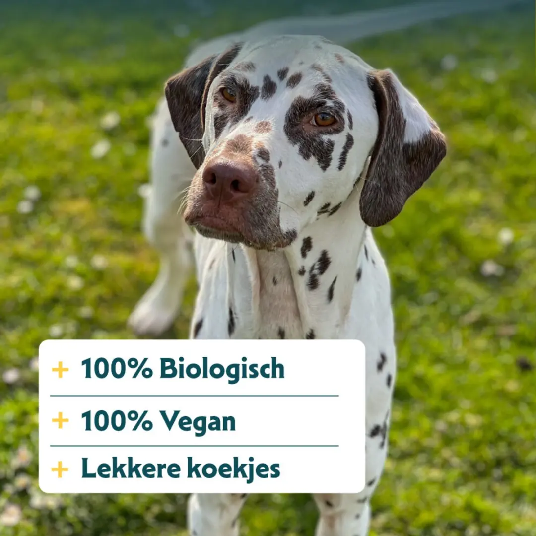 Yarrah Biologische Hondenkoekjes Vegan - 500g - afbeelding 2 van 6