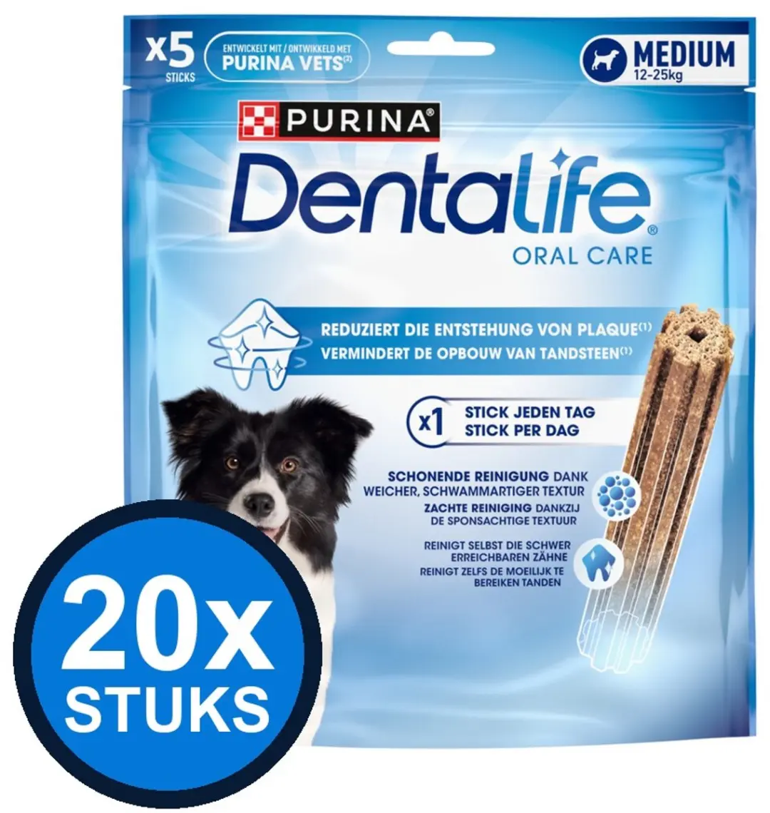 20x Dentalife