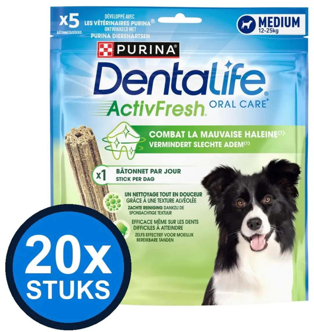 20x Dentalife
