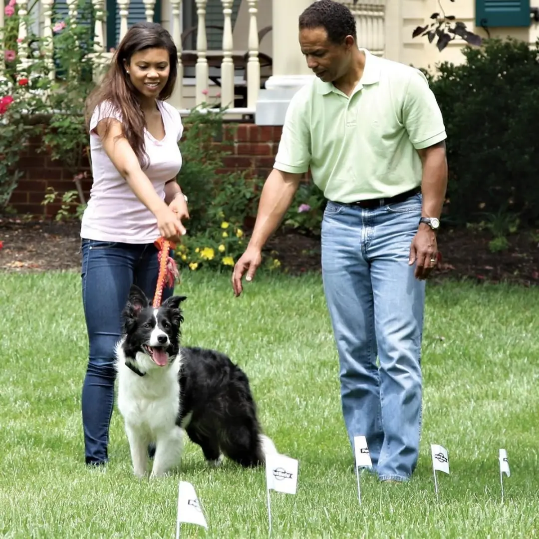 PetSafe Smartfence Draad met Vlaggetjes PRFA-500 - 150m - afbeelding 5 van 6