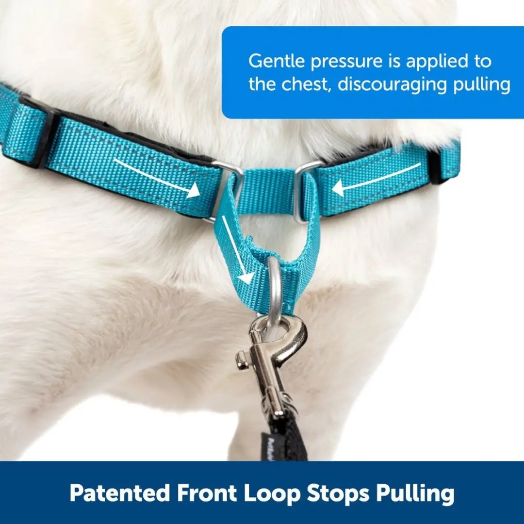 PetSafe Easy Walk Hondentuigje - M - Zwart - afbeelding 5 van 6