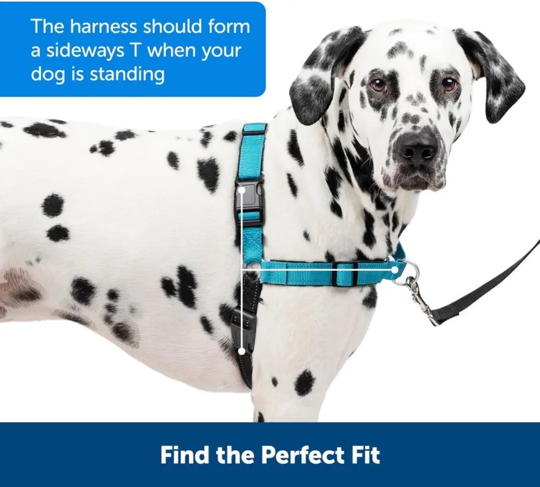 PetSafe Easy Walk Hondentuigje - M - Zwart - afbeelding 4 van 6