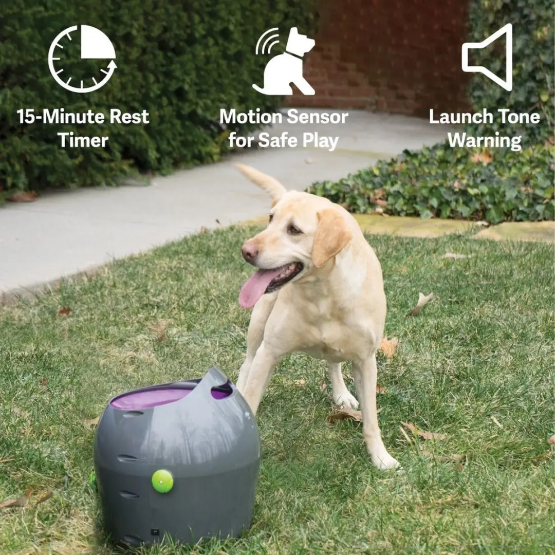 PetSafe Automatische Ballenwerper - Grijs - afbeelding 6 van 6