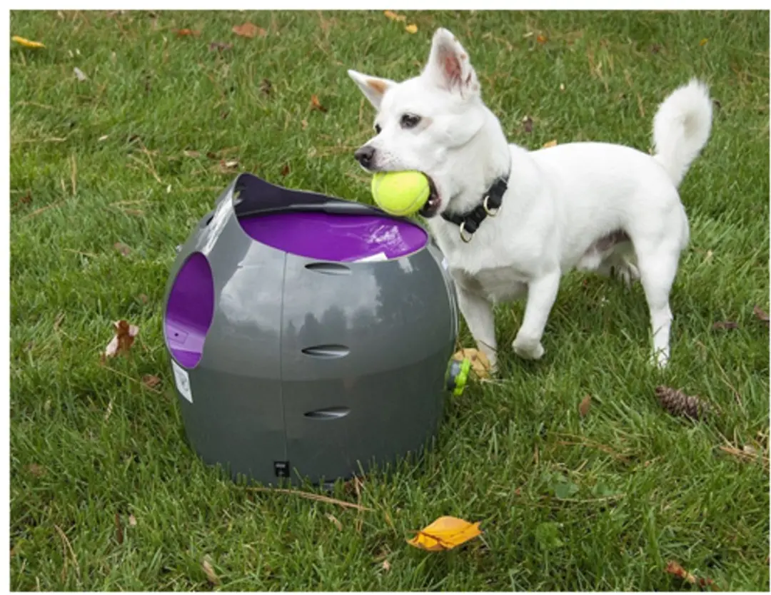 PetSafe Automatische Ballenwerper - Grijs - afbeelding 2 van 6