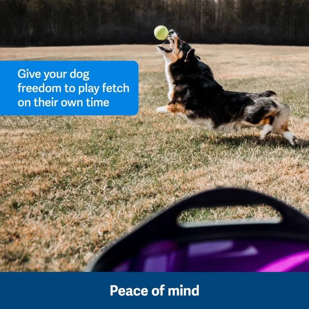 PetSafe Automatische Ballenwerper - Grijs - afbeelding 5 van 6