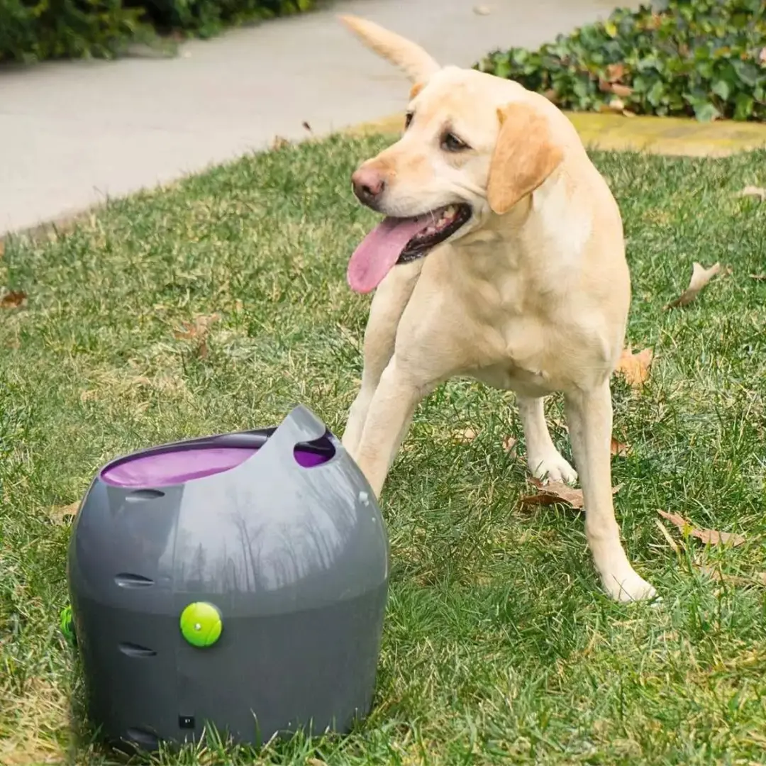 PetSafe Automatische Ballenwerper - Grijs - afbeelding 4 van 6