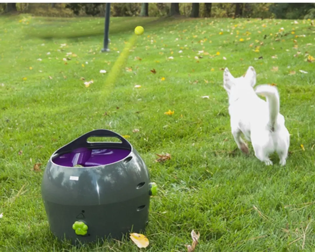 PetSafe Automatische Ballenwerper - Grijs - afbeelding 3 van 6