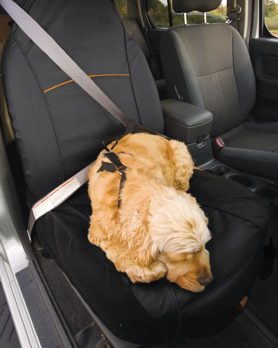 Kurgo Rover Autostoelhoes voor honden - Zwart - afbeelding 4 van 6