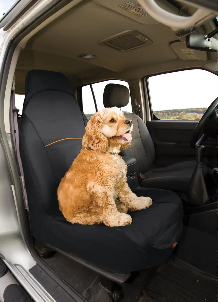 Kurgo Rover Autostoelhoes voor honden - Zwart - afbeelding 5 van 6