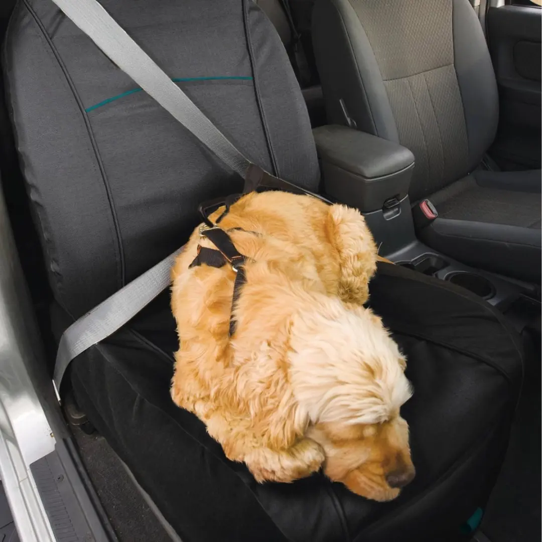 Kurgo Rover Autostoelhoes voor honden - Zwart - afbeelding 3 van 6