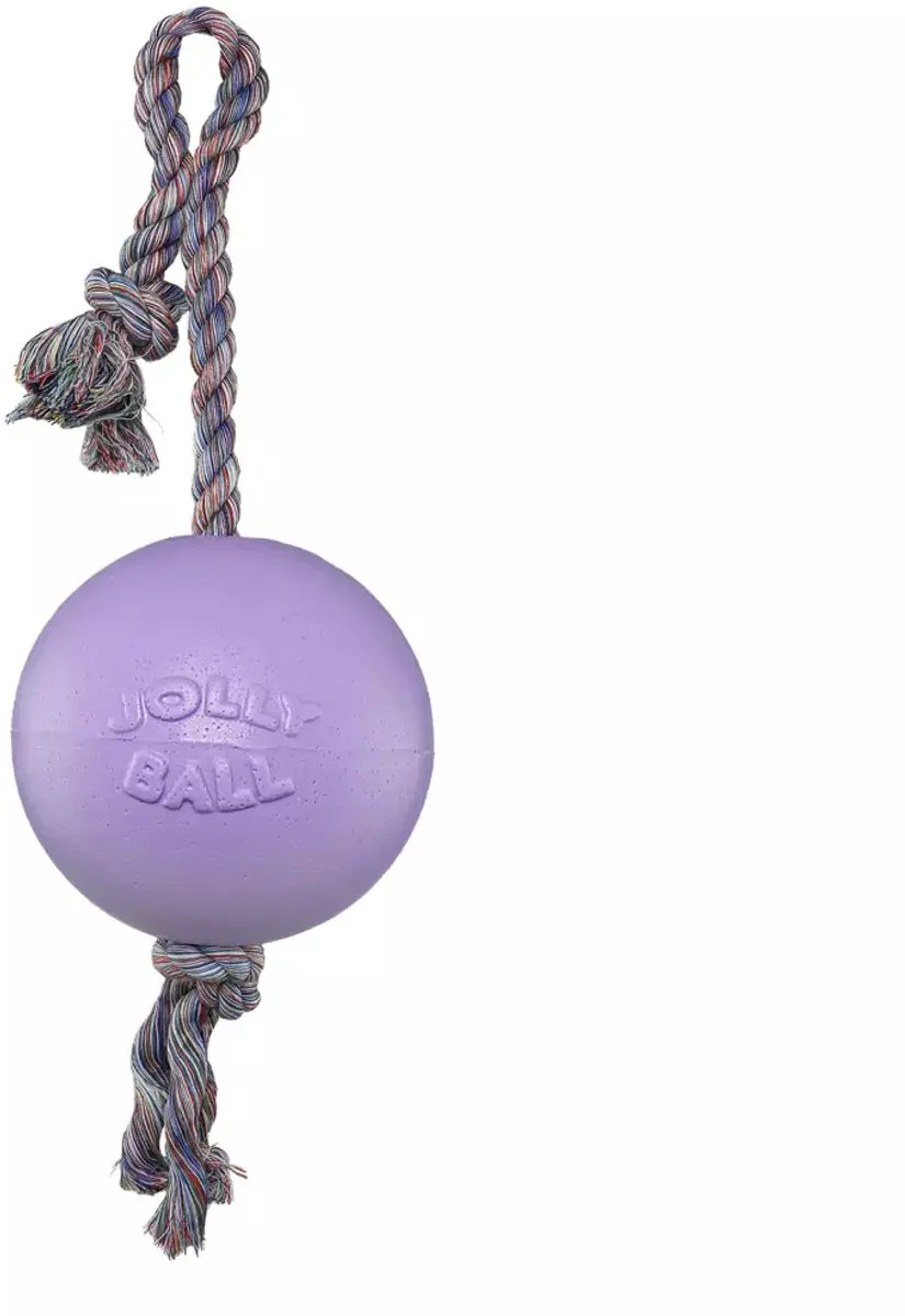 Jolly Pets Romp-n-Roll