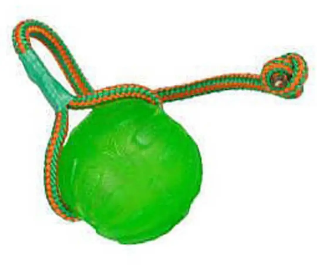 Starmark Swing 'N Fling Kauwbal aan koord - 9cm - afbeelding 6 van 6