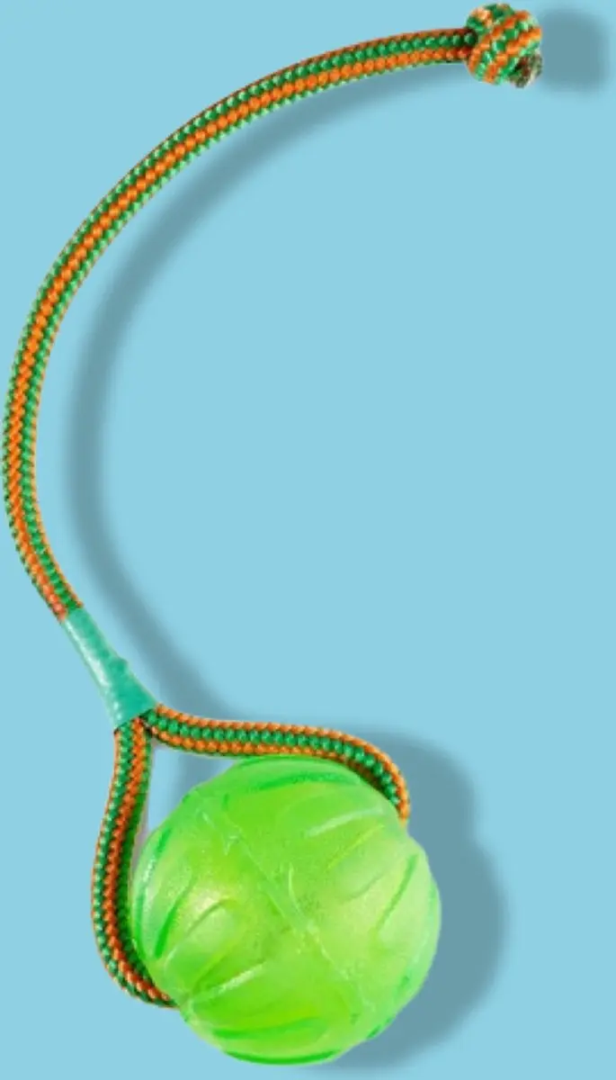 Starmark Swing 'N Fling Kauwbal aan koord - 9cm - afbeelding 5 van 6