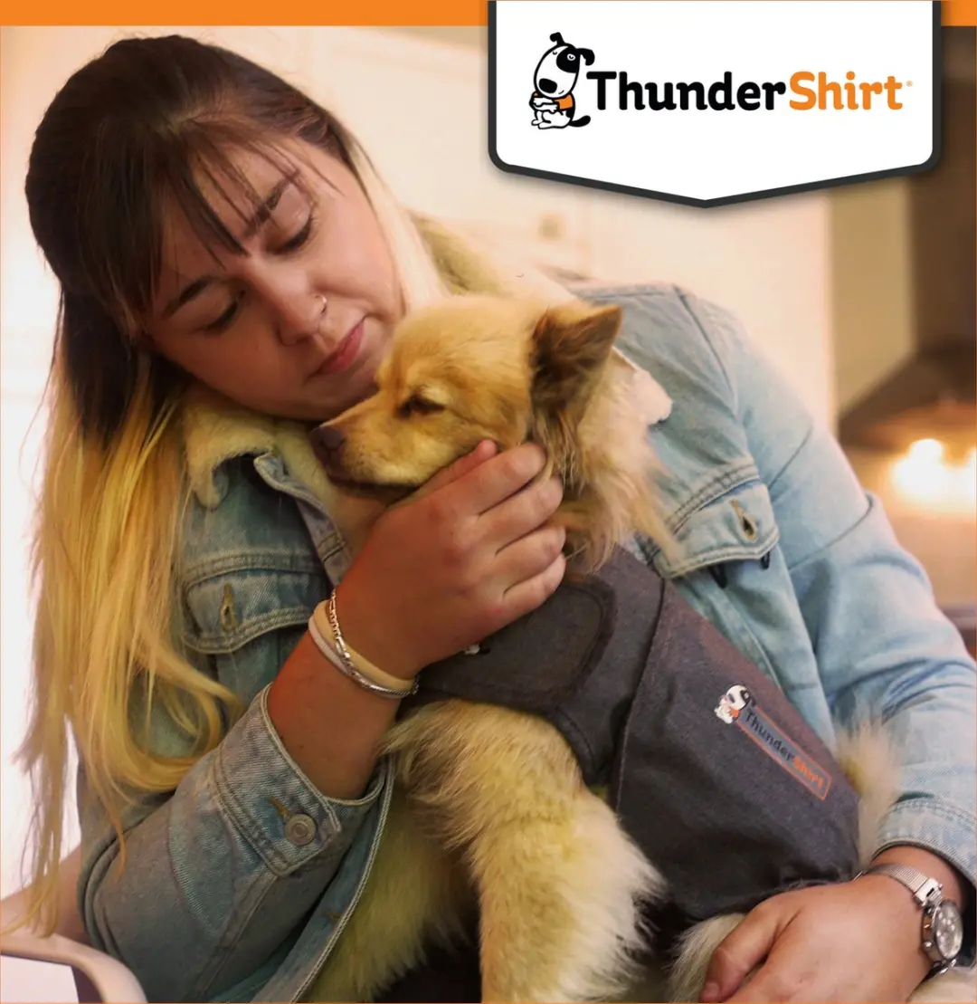 Thundershirt Kalmerend Vest voor Honden - Grijs - XL - afbeelding 2 van 6
