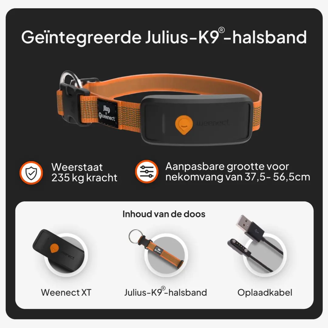Weenect XT GPS Tracker voor Hond - Oranje - afbeelding 4 van 6