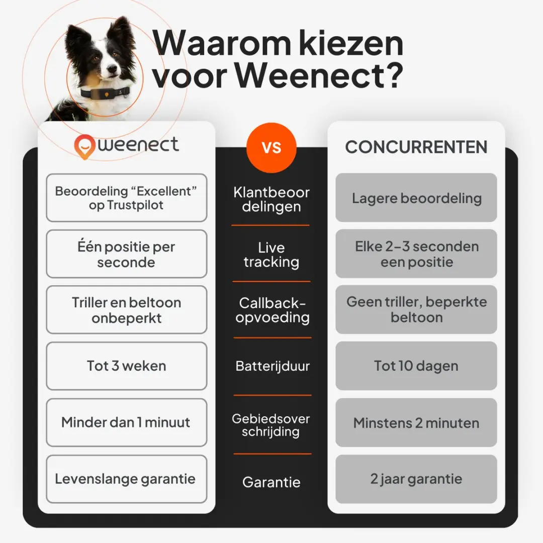 Weenect XT GPS Tracker voor Hond - Oranje - afbeelding 2 van 6